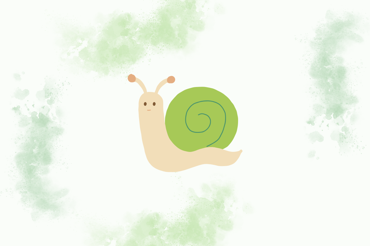 The Magic of Snail Mucin in Skincare: Nature’s Elixir for Radiant Skin