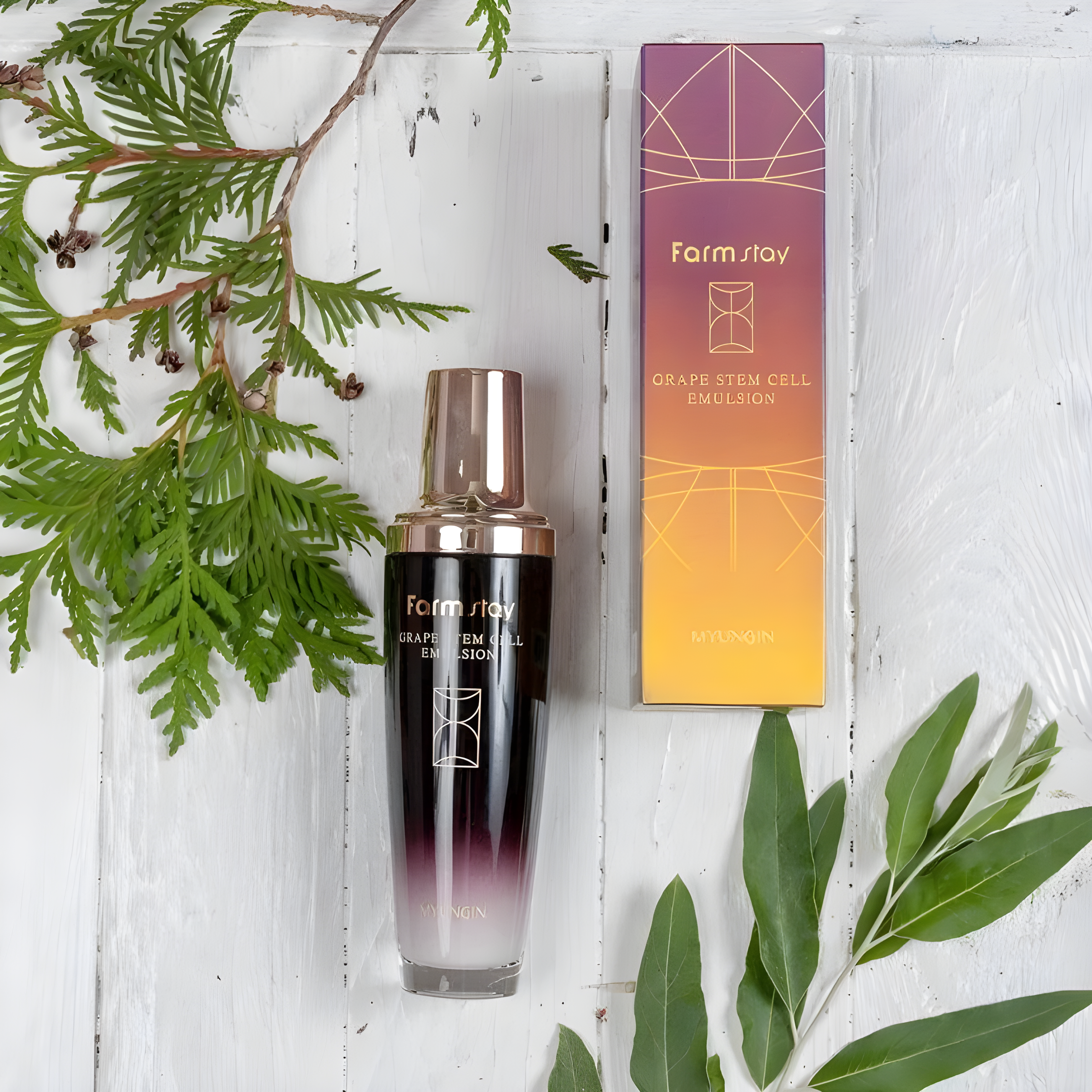 Emulsion, Face care, Skin elasticity and barrier, Pigmenation/brightening/post-acne, แแแฃแแกแแ, แกแแฎแแก แแแแแ, แแแแกแขแแฃแ แแแ แแ แแแ แแแ แ, แแแแแแแแชแแ/แแแกแข-แแแแ, Farmstay, Farmstay Grape Stem Cell Emulsion, Beauty Bar, Korean Cosmetics, แแแฃแแ แแแ แ, แแแ แแฃแแ แแแกแแแขแแแ, Farmstay แงแฃแ แซแแแก แฆแแ แแแแแ แฃแฏแ แแแแแแก แแแฃแแกแแ